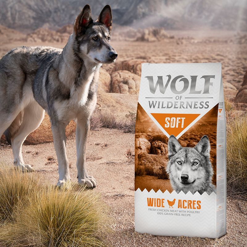Wolf of Wilderness Soft \