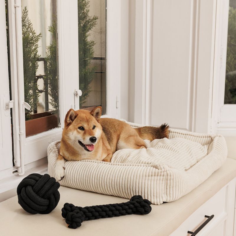 Modern Living Dog Bed Helena L: 65 x W x H 60 x 18 cm, beige