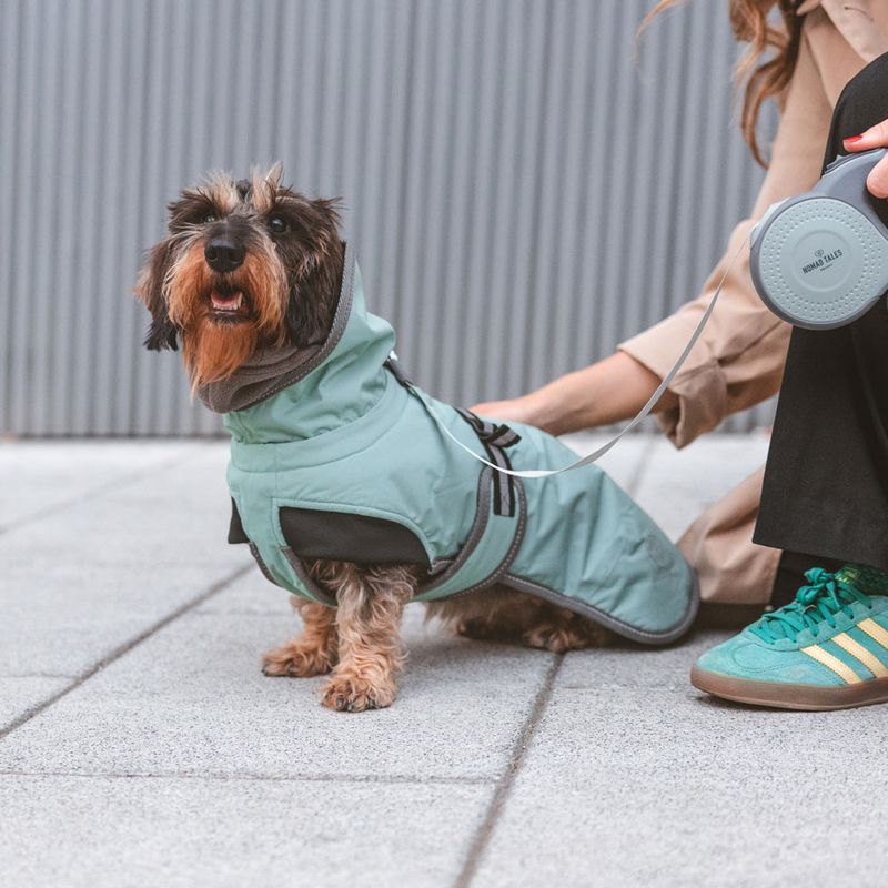 Nomad Tales Calma Retractable Lead Set - 8m 1 Set (Lead, Poo Bag Dispenser & Torch)