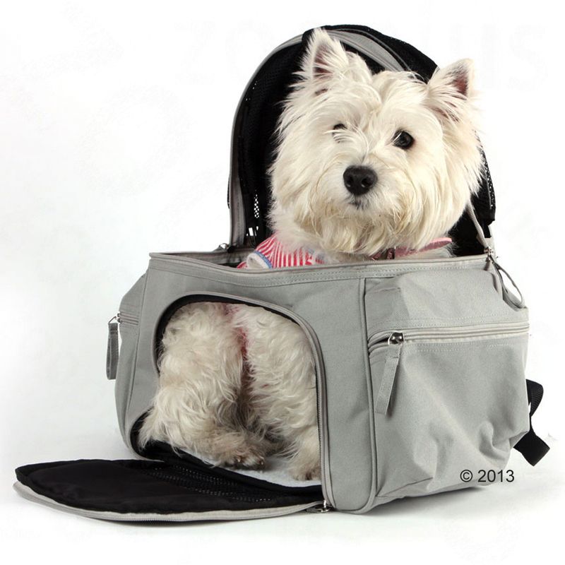 Sightseer Backpack Pet Carrier 32 x 21 x 46 cm (L x W x H)