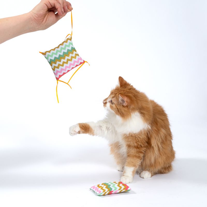 TIAKI Zig Zag Catnip Cushion Set of 2
