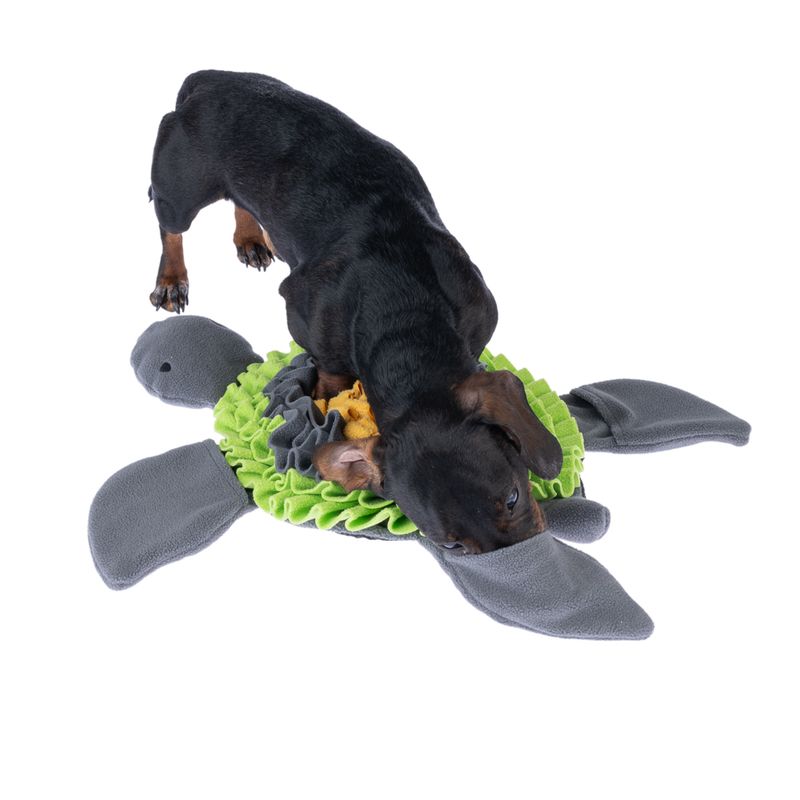 TIAKI Melbourne Turtle Sniffer Mat 61 x 50 x 6 cm (L x W x H)