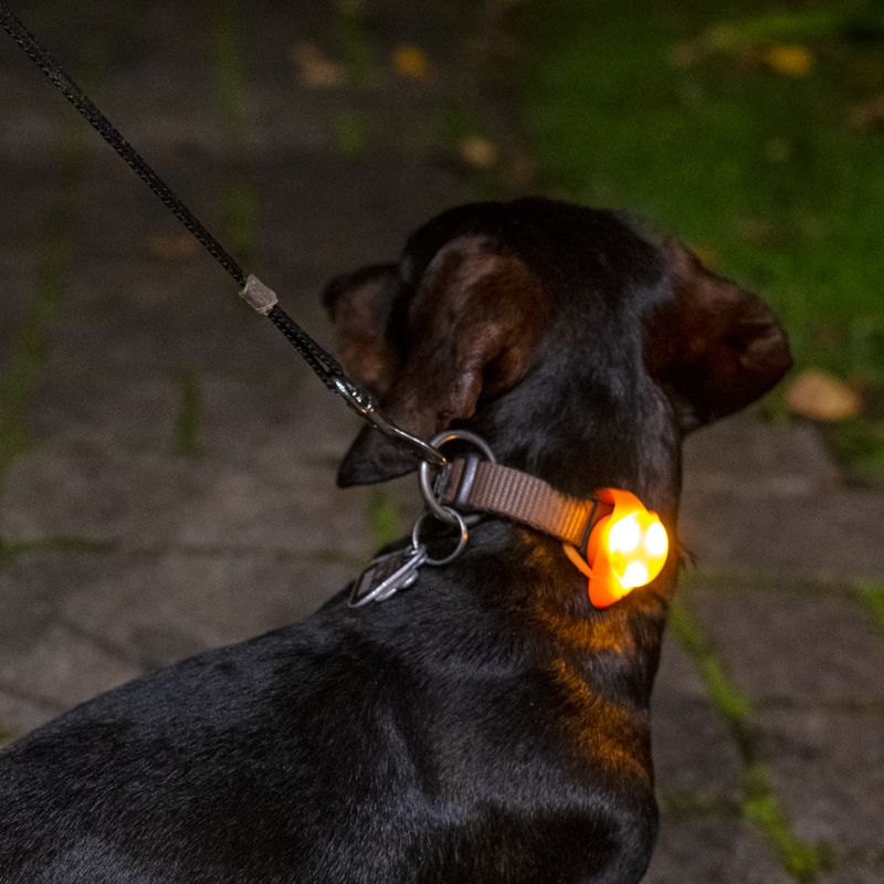 TIAKI LED Lighthouse Light for Collar - Orange Orange