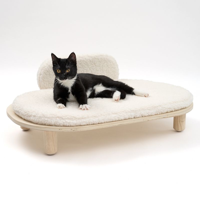 Modern Living Sofa Osaka L 70 x W 50 x H 28 cm