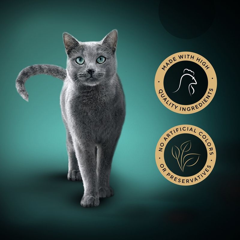 Sheba Classic Soup Multipack 80 x 40g Chicken