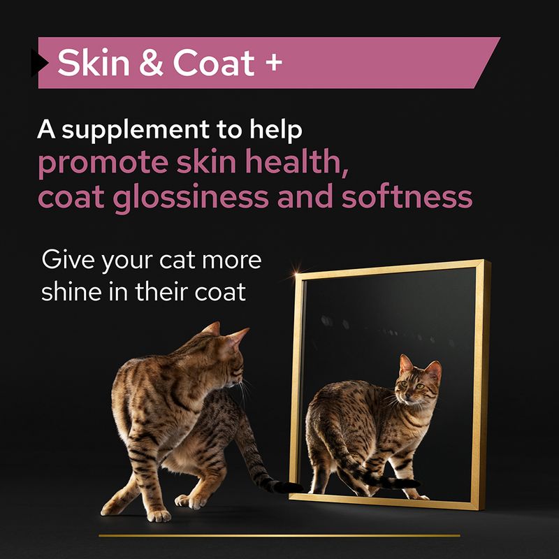 PRO PLAN Cat Adult Skin & Coat Supplement Oil 150ml