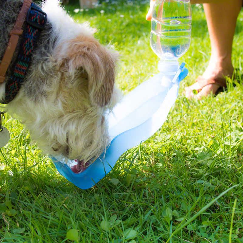 Drinking Bottle & Dispenser – for dogs 500ml