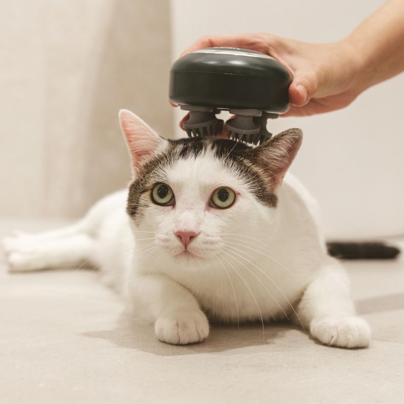 kooa Massager approx. 9.5 x 7cm (diameter x H)