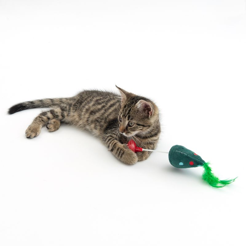 TIAKI Tree Cat Toy 1 Toy