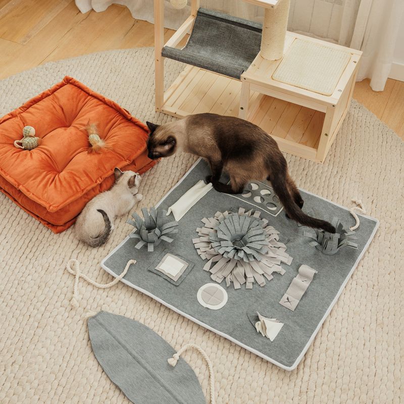 Modern Living Bora Bora Cat House 70 x 35 x 60cm (L x W x H)