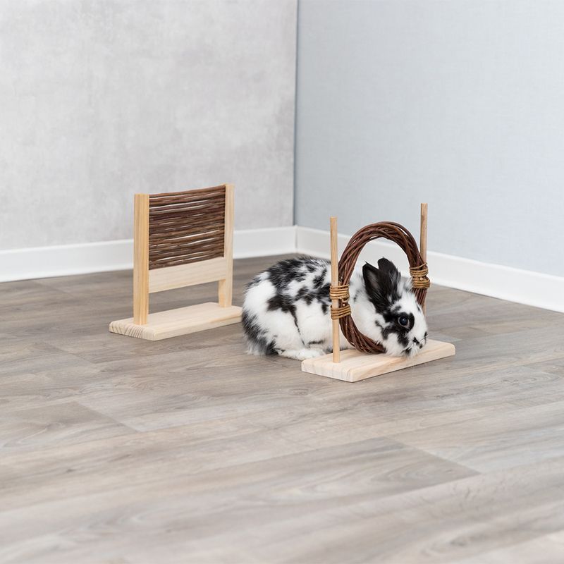 Trixie Agility Set for Rabbits Set of 2