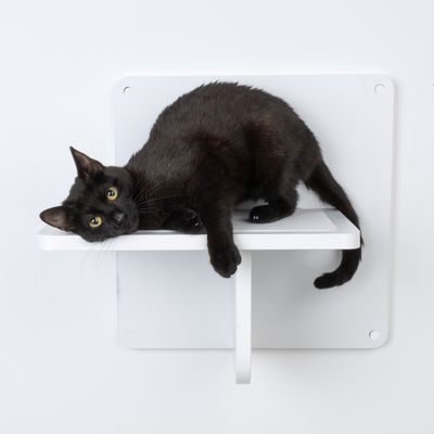 Modern Living Platform San Francisco Black