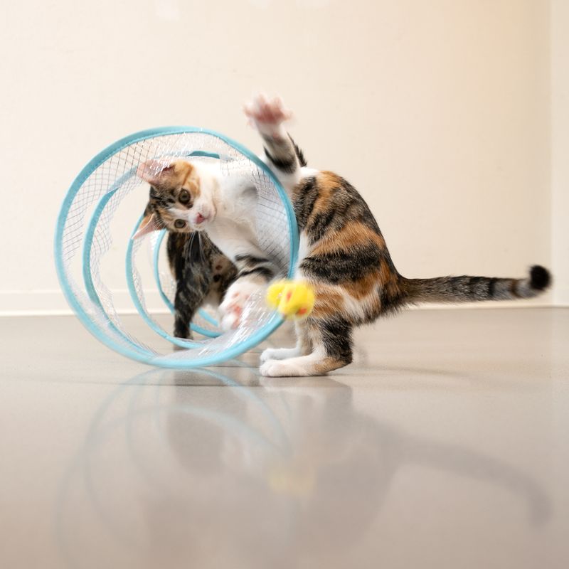 TIAKI Spiral Tunnel for Cats approx. diameter 25 x (L) 50 cm