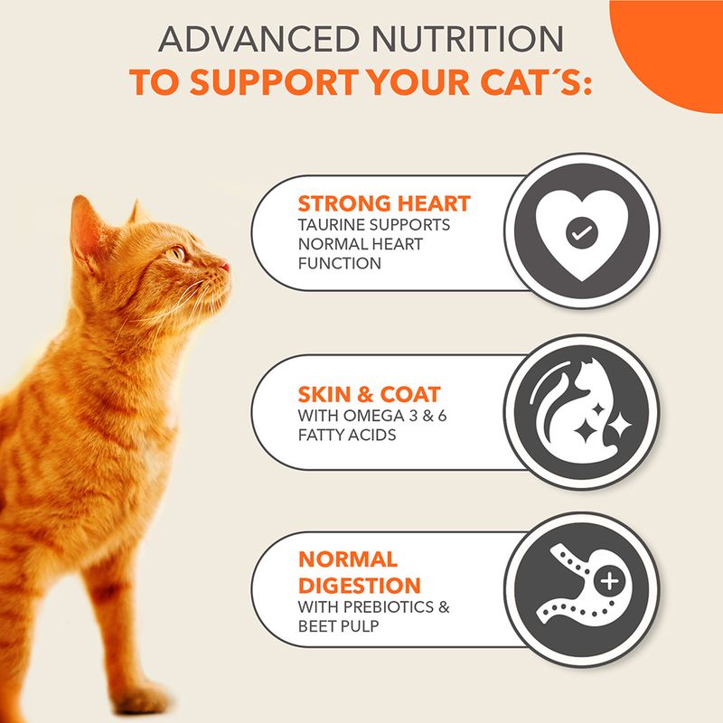 IAMS Advanced Nutrition Adult Cat with Salmon 3kg