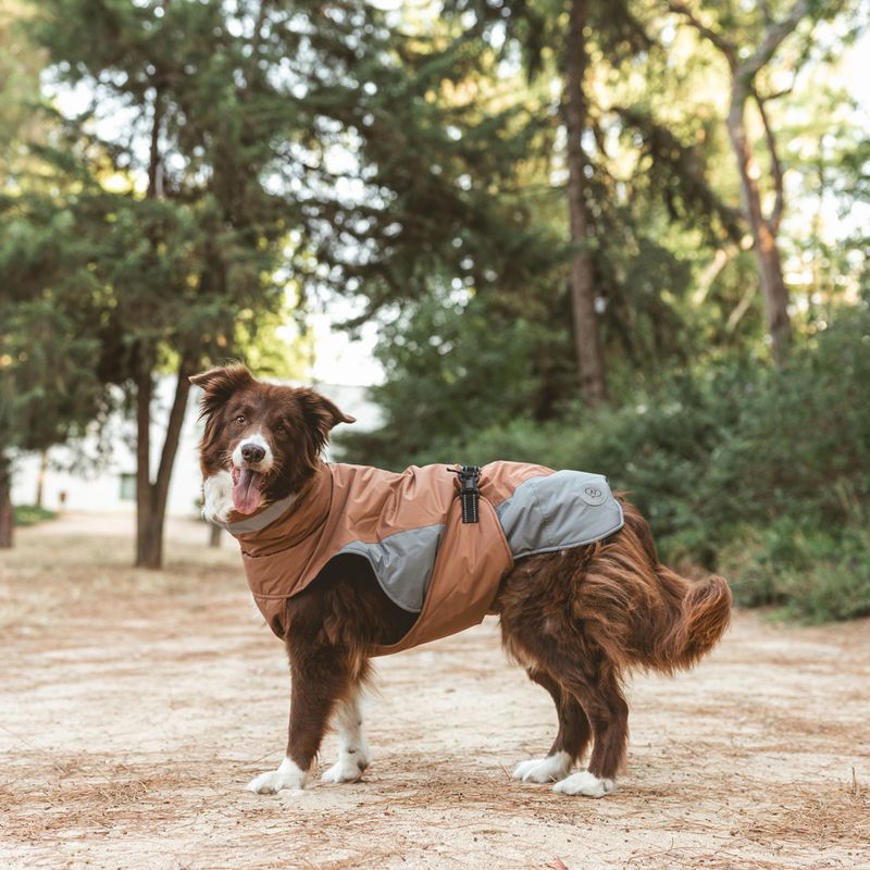 Nomad Tales Bloom Dog Coat - Warm Taupe approx. 30cm (Back Length)