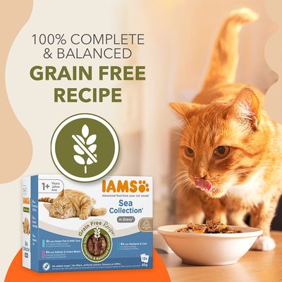 IAMS Advanced Nutrition Grain Free - Sea Collection in Gravy 12 x 85g