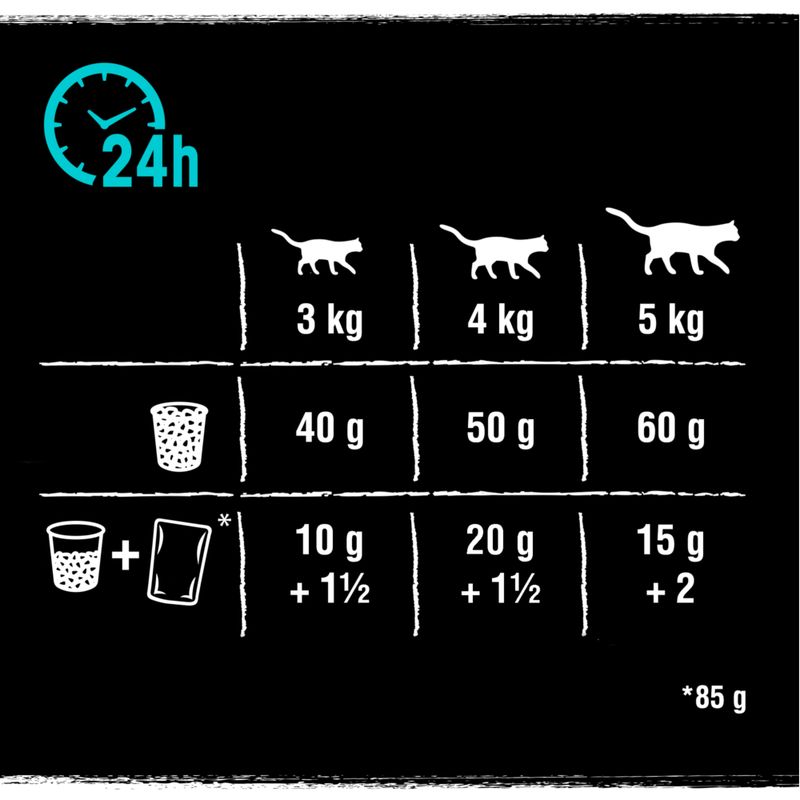 Crave Adult Salmon & Whitefish Dry Cat Food 750g