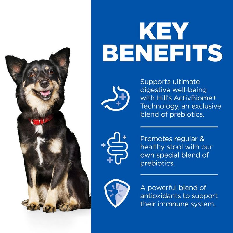 Hill's Science Plan Adult 1+ Perfect Digestion Small & Mini Mousse Turkey (12 x 200g)