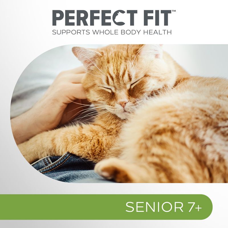 Perfect Fit Senior Pouches Turkey & Carrot (12 x 85g)