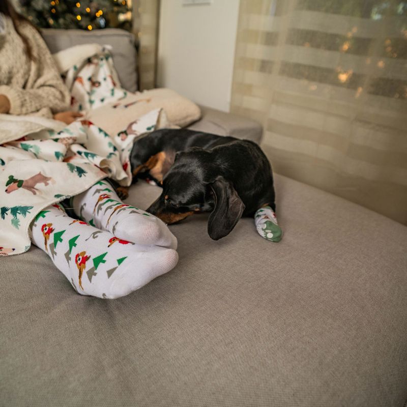 TIAKI Pet & Parent Winter Socks Set: Pet Socks (2 pairs) & Pawrent Socks (1 Pair)