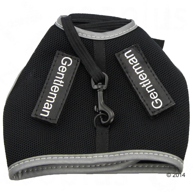 Trixie XCat Harness with Lead and Exclusive Stickers Black