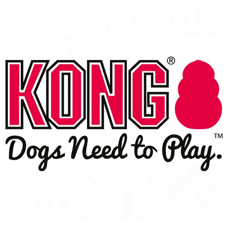 KONG Gyro for Puppies 1 Toy