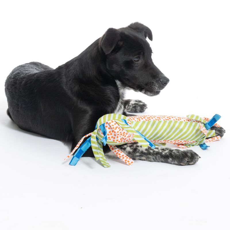 TIAKI Cool Teething Stick diameter 6 x (L) 27 cm