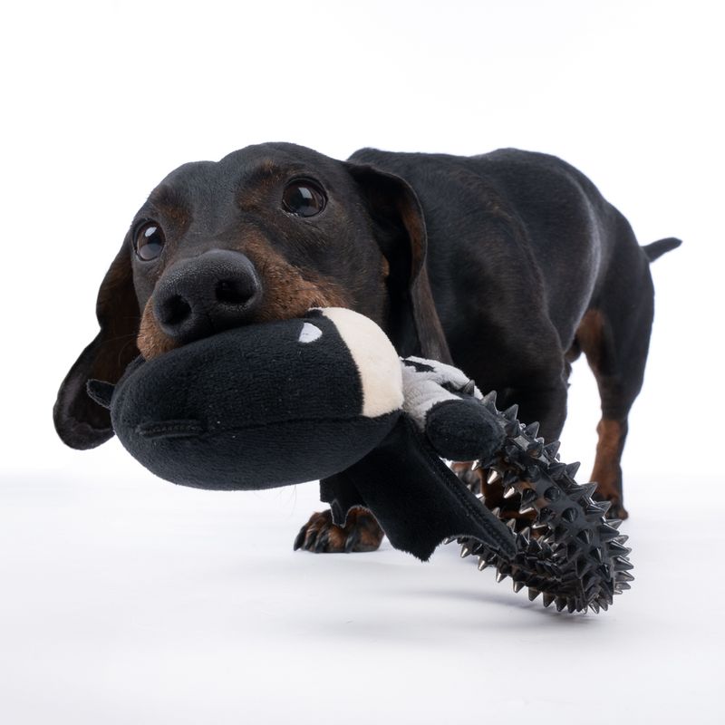 Batman with Ring Dog Toy approx. 19 x 14 x 5cm (L x W x H)