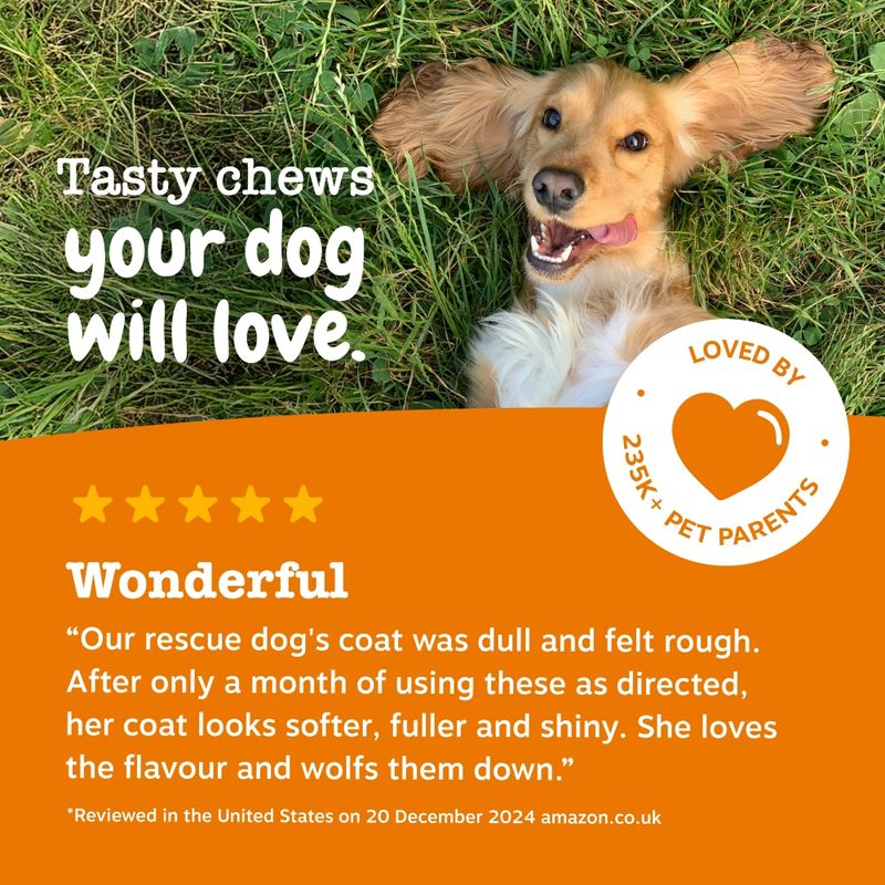 Zesty Paws Omega Skin & Coat Salmon 90 Chews