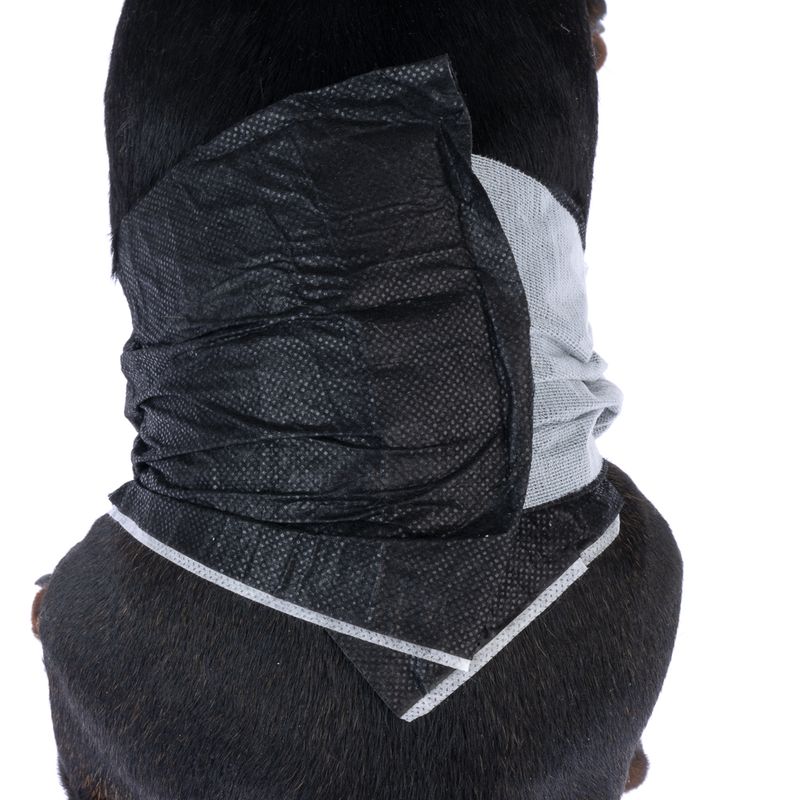 kooa Male Diapers with Bamboo Size XS: 20 - 26 cm, 12 Nappies