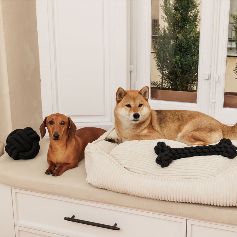 Modern Living Papua Rope Bone 30cm (L)