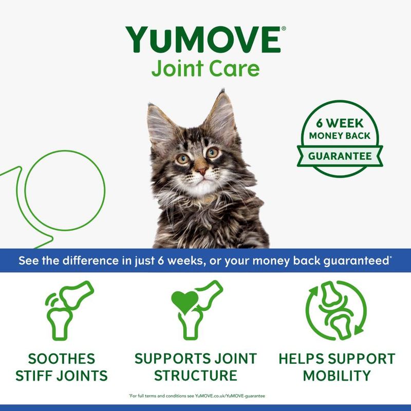 YuMOVE Joint Care for Senior Cats 60 Capsules