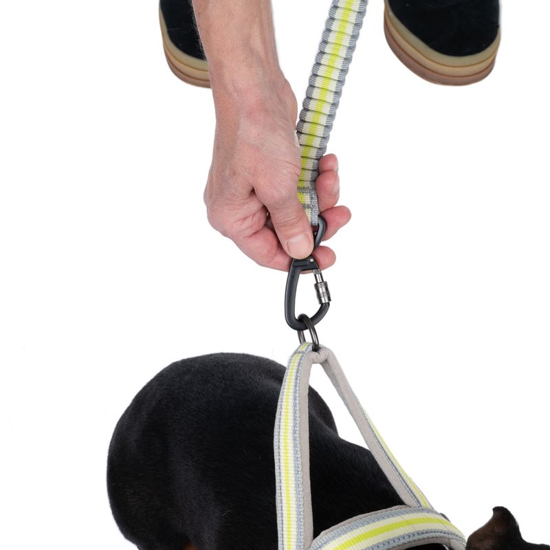 TIAKI Hands Free leash Length: approx. 250 cm