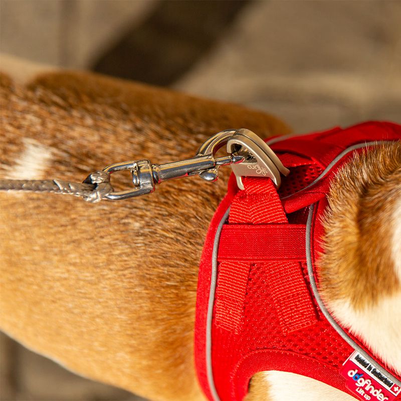 Curli ultra strong pocket leash Size S: 110 cm long