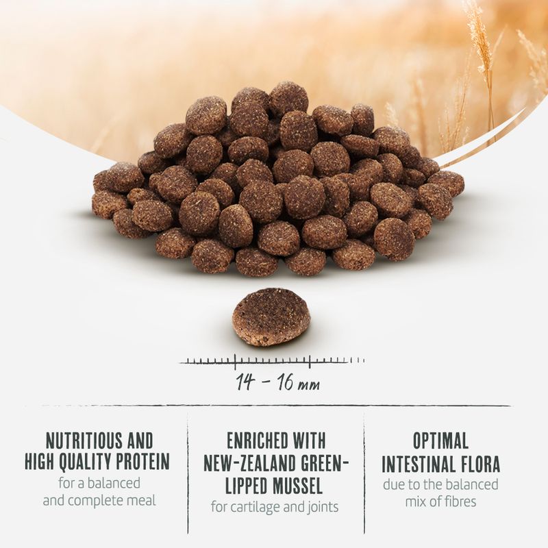 Briantos Maxi Adult 14kg