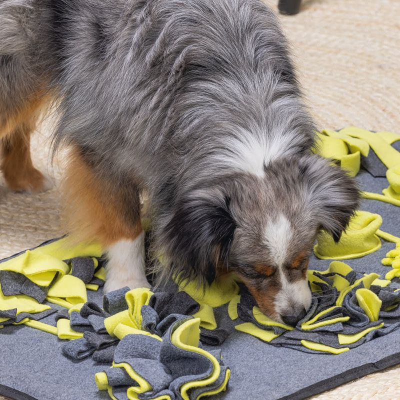 Beeztees Flora Sniff Mat 1 Toy