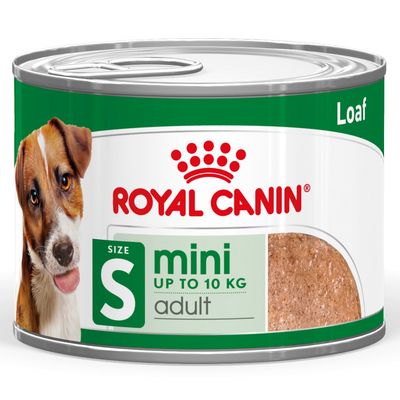 Royal Canin Mini Adult in Loaf 12 x 195g
