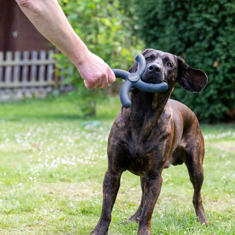 Nomad Tales Bloom Ultra-strong Fetch Toy L x W x H) 24 x 24 x H 3 cm