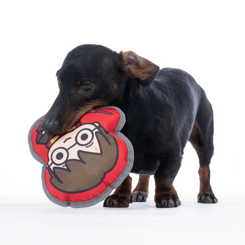 Warner Bros.™ Harry Potter Dog Toy 20 x 18 x 6 cm (L x W x H)