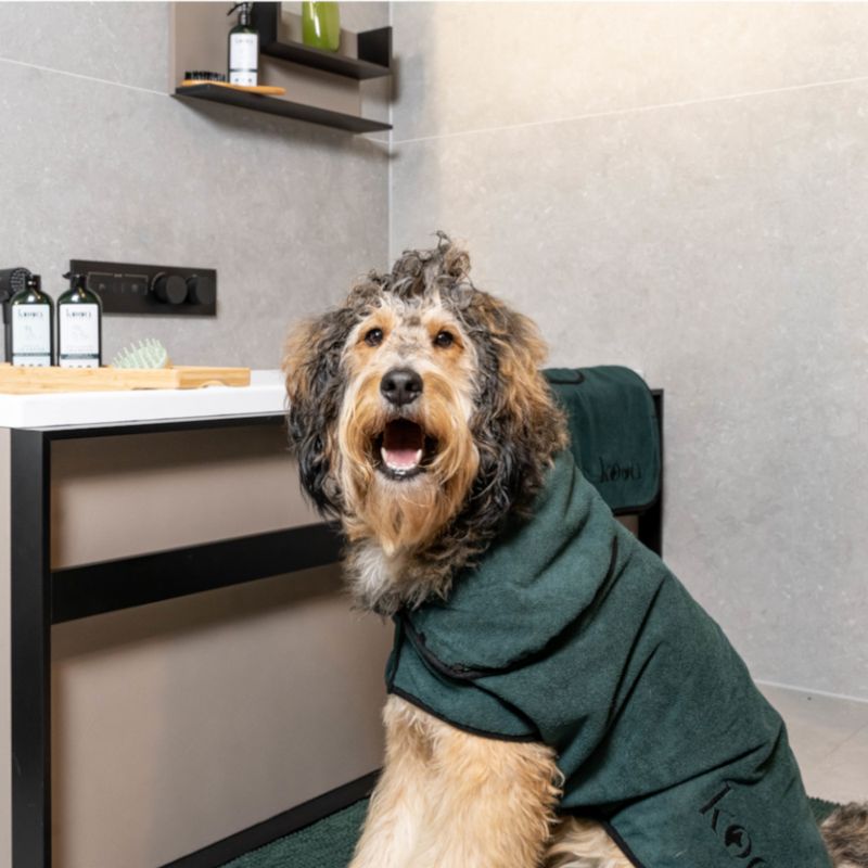 kooa Deluxe Microfibre Dog Bathrobe XS: approx. 25cm Back Length