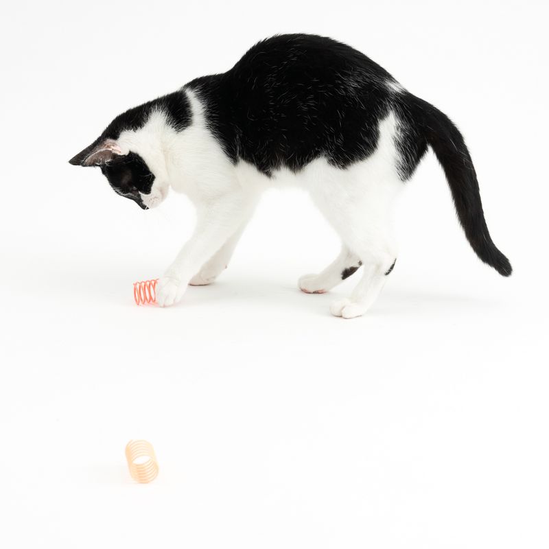 TIAKI Spiral Set Set of 4