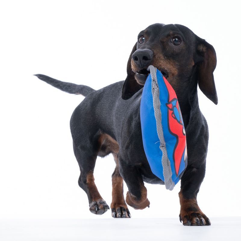 Warner Bros™ DC Superman Squeaky Dog Toy approx. 20 x 17 x 6 cm (L x W x H)