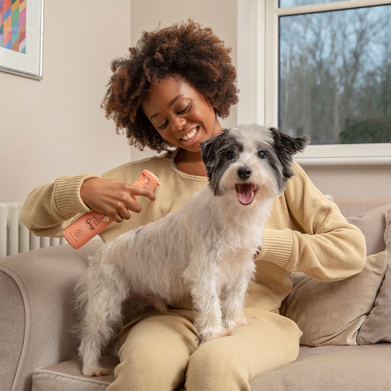 Pet Head Quick Fix Spray 300ml