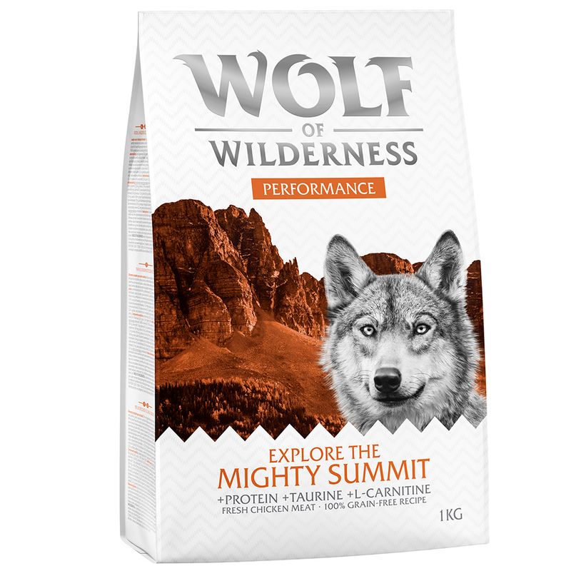 Wolf of Wilderness \