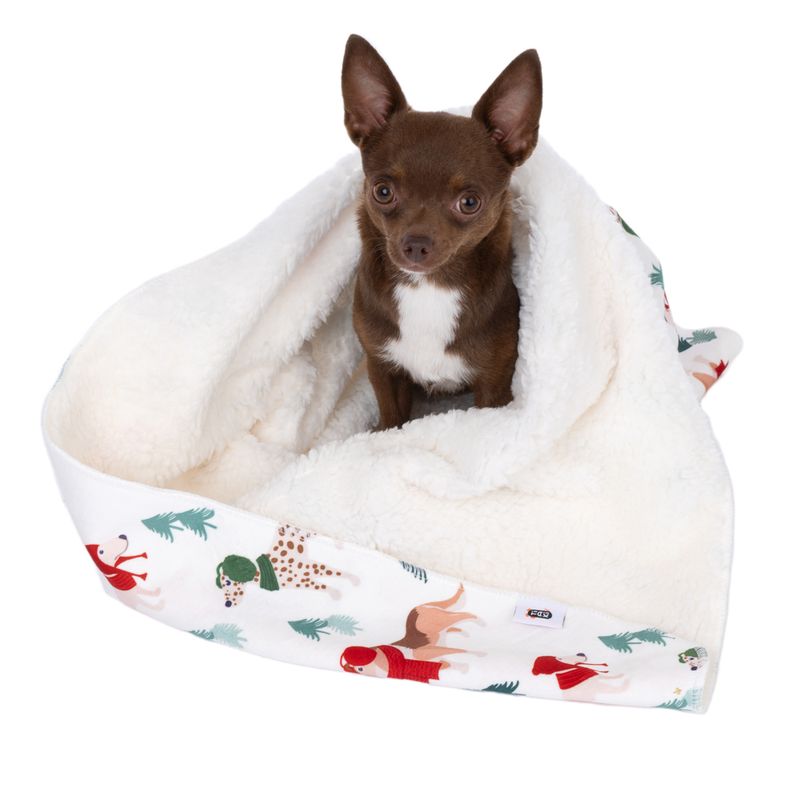 TIAKI Fun Winter Blanket for Dogs Set: Blanket for Dogs & Dog Pawrents