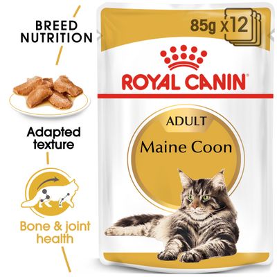 Royal Canin Maine Coon Adult in Gravy 12 x 85g