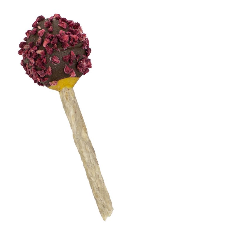 Blue Tree Cheesie Pop Raspberry & Coconut 2 x 45g