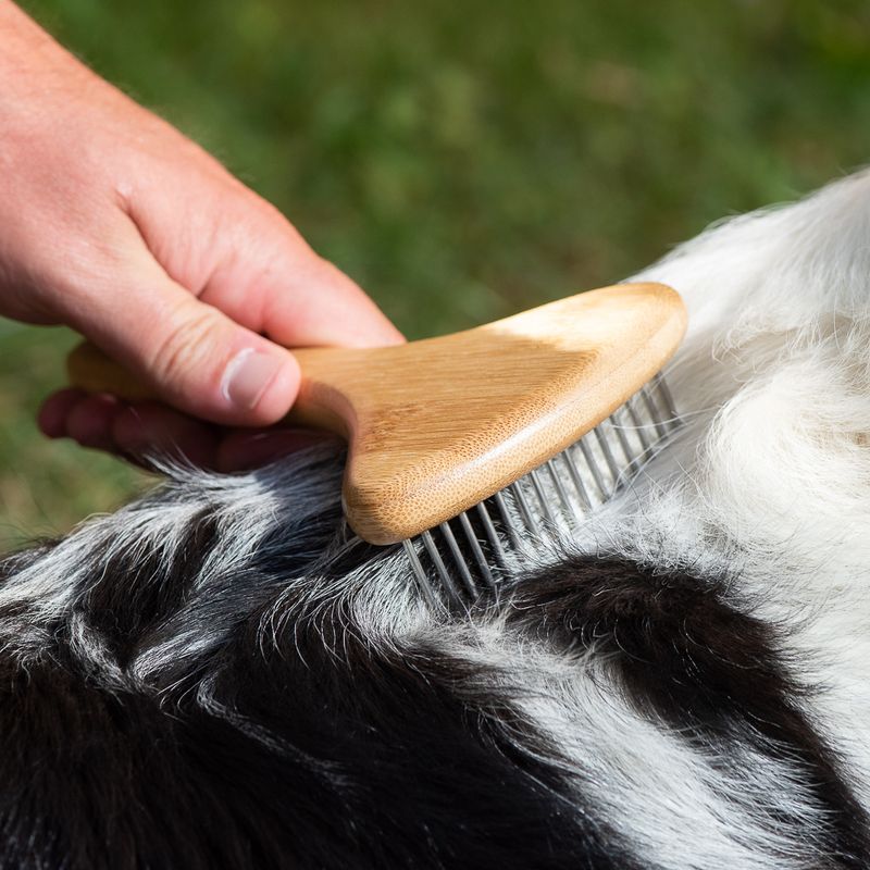 kooa Bamboo Undercoat Rake with Rotating Pins 17.5 x 10cm (L x W)