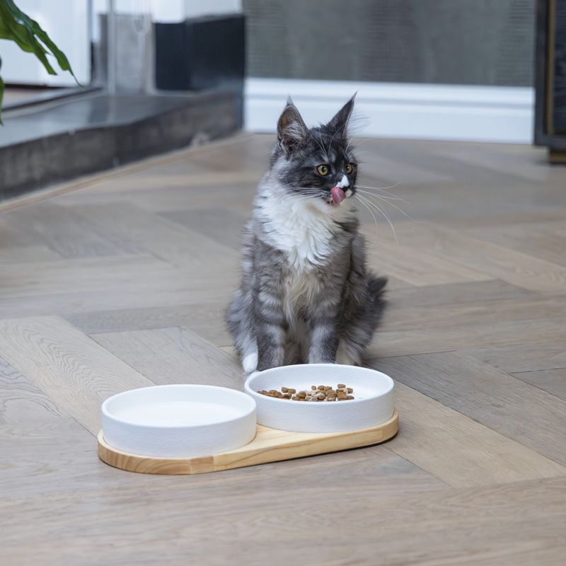 Designed by Lotte Lojs Ceramic Dinner Set for Cats 1 Set: 2 x 350ml
