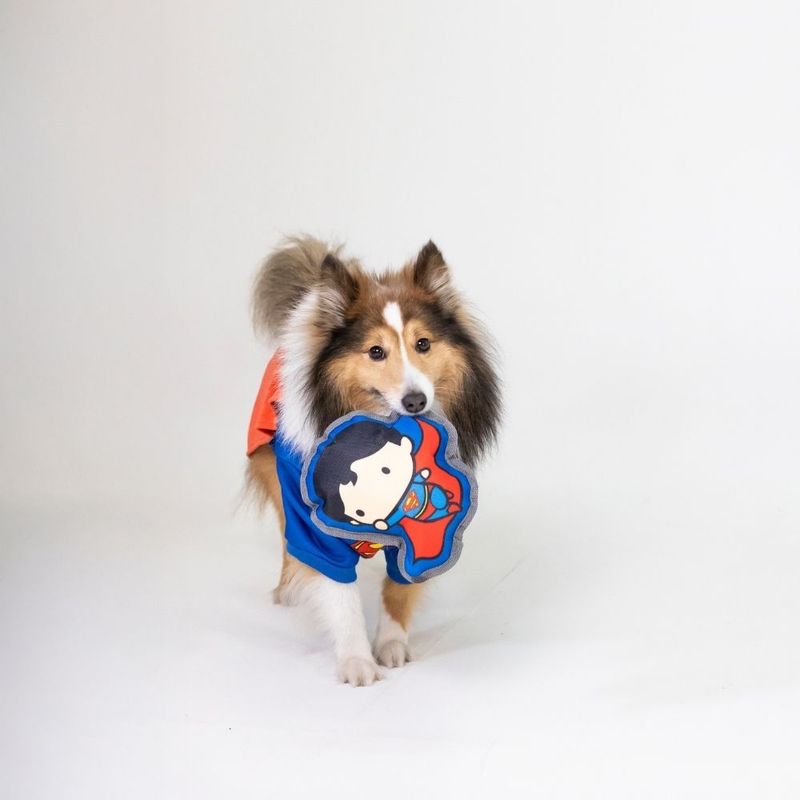 Warner Bros™ DC Superman Squeaky Dog Toy approx. 20 x 17 x 6 cm (L x W x H)